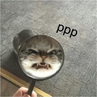 💪