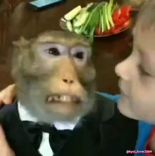 🐵