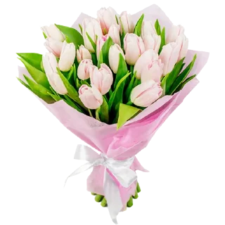 🌷
