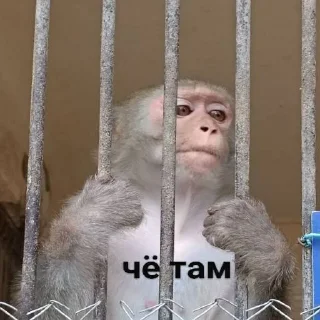 🤔