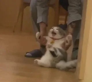 🆘