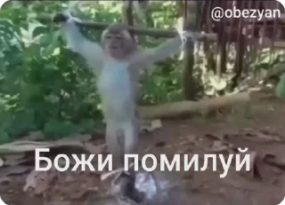 ☦