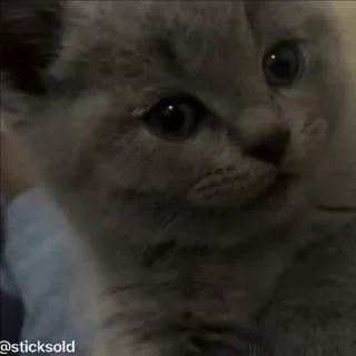 😁
