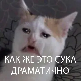 😢