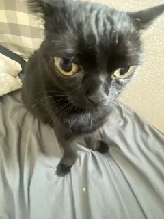 😒