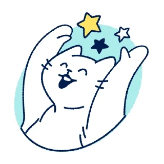 ✨