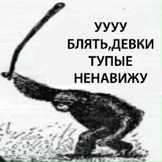 🐵