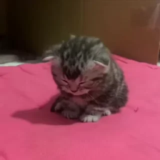 😊