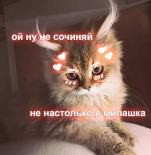 🌝