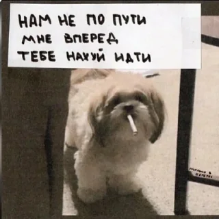 🚬