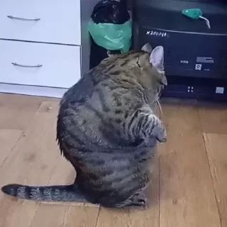 😳