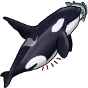🐟