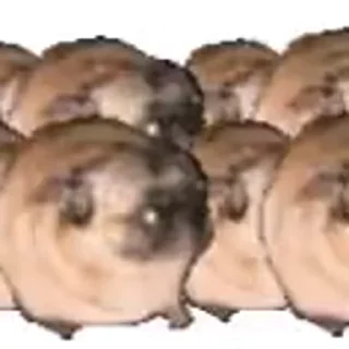 🕺