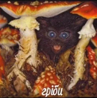 🍄