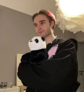 🐼