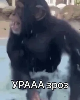 🥳
