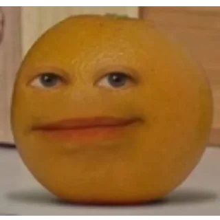 🍊