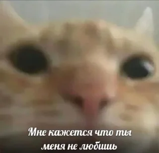 🧐