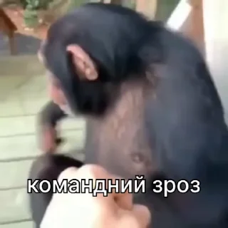 🤝
