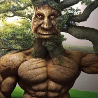 🌳