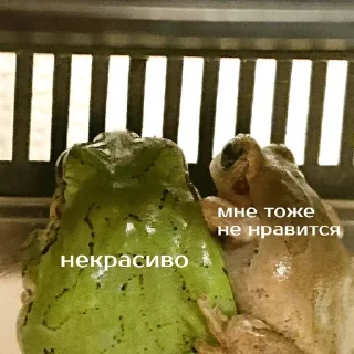 💑