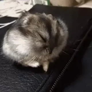 😴