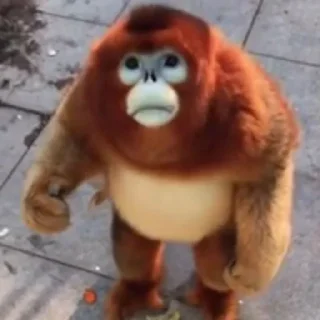 🙁