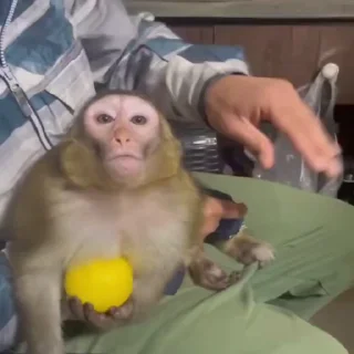 🤬