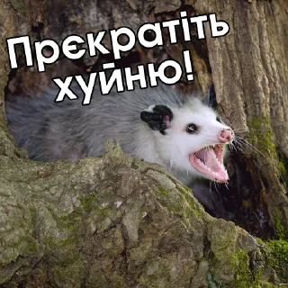 😡