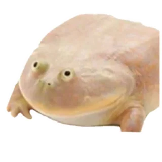 Квакушки
