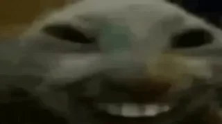 xdd