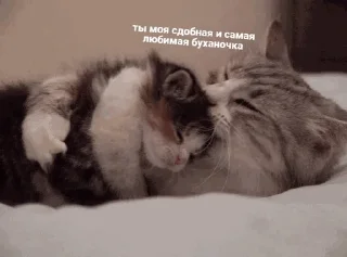 ❤️