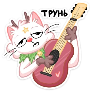 🎸