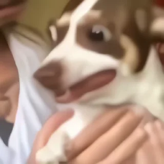😶