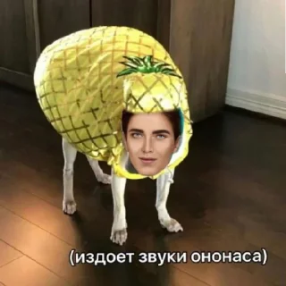 🍍