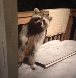 🥺