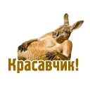 👍