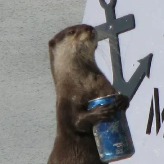 🍺