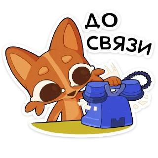🌟