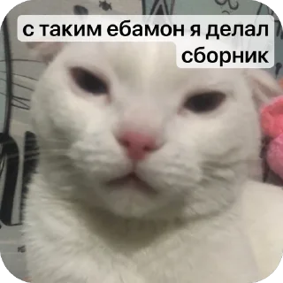 🫥