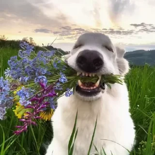 💐