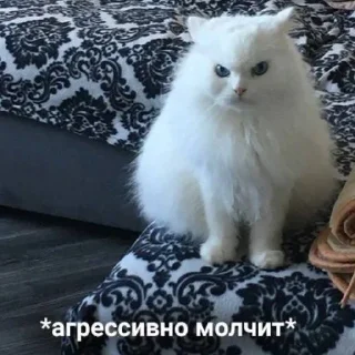 🗿