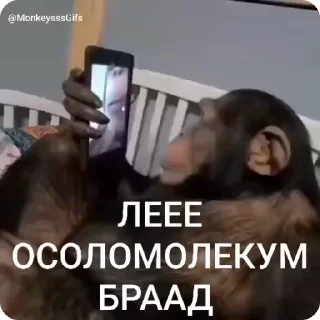 👋