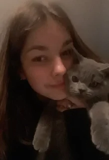 🐰