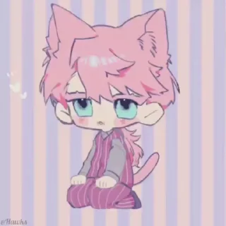 🐱