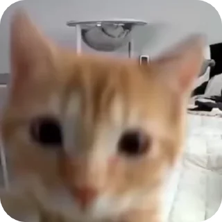 😤