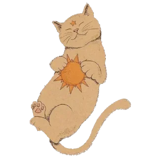 ✨