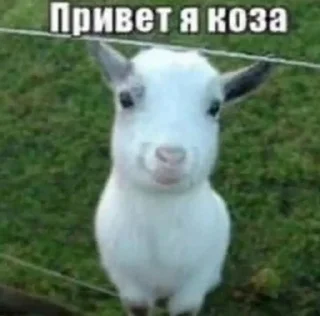 👋