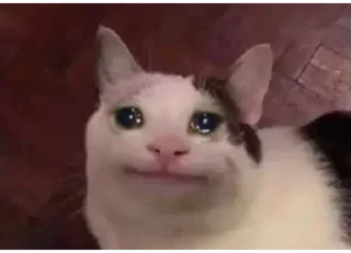 😭