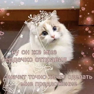 👰‍♀